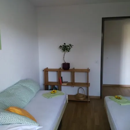Apartment Calm Family